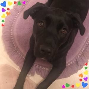 Meet your Posher, Marissa